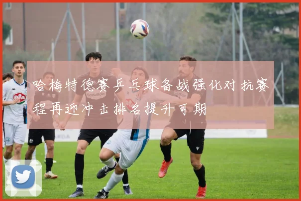 哈梅特德赛乒乓球备战强化对抗赛程再迎冲击排名提升可期